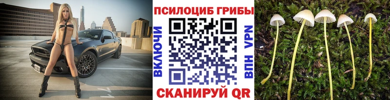 Псилоцибиновые грибы прущие грибы  купить наркоту  Полысаево 